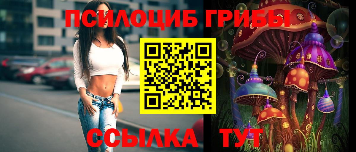 Элиста  Галлюциногенные грибы мухоморы  Вход с VPN  Псилоцибиновые грибы прущие грибы 